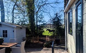 Hotel Chique Chalet Met Zicht Over De Weilanden Op De Veluwe