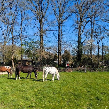 Hotel Chique Chalet Met Zicht Over De Weilanden Op De Veluwe Epe Buitenkant foto