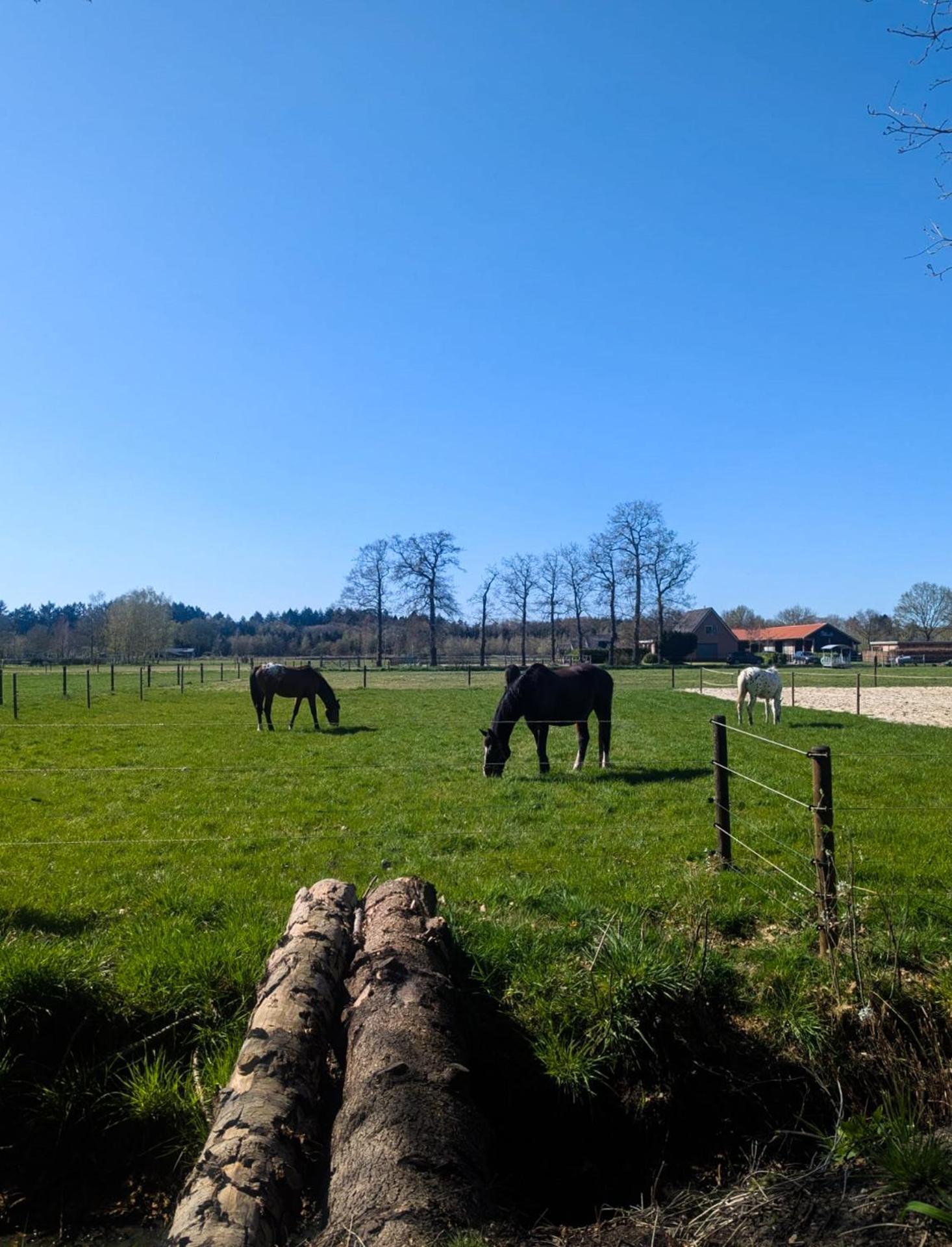 Hotel Chique Chalet Met Zicht Over De Weilanden Op De Veluwe Epe Buitenkant foto