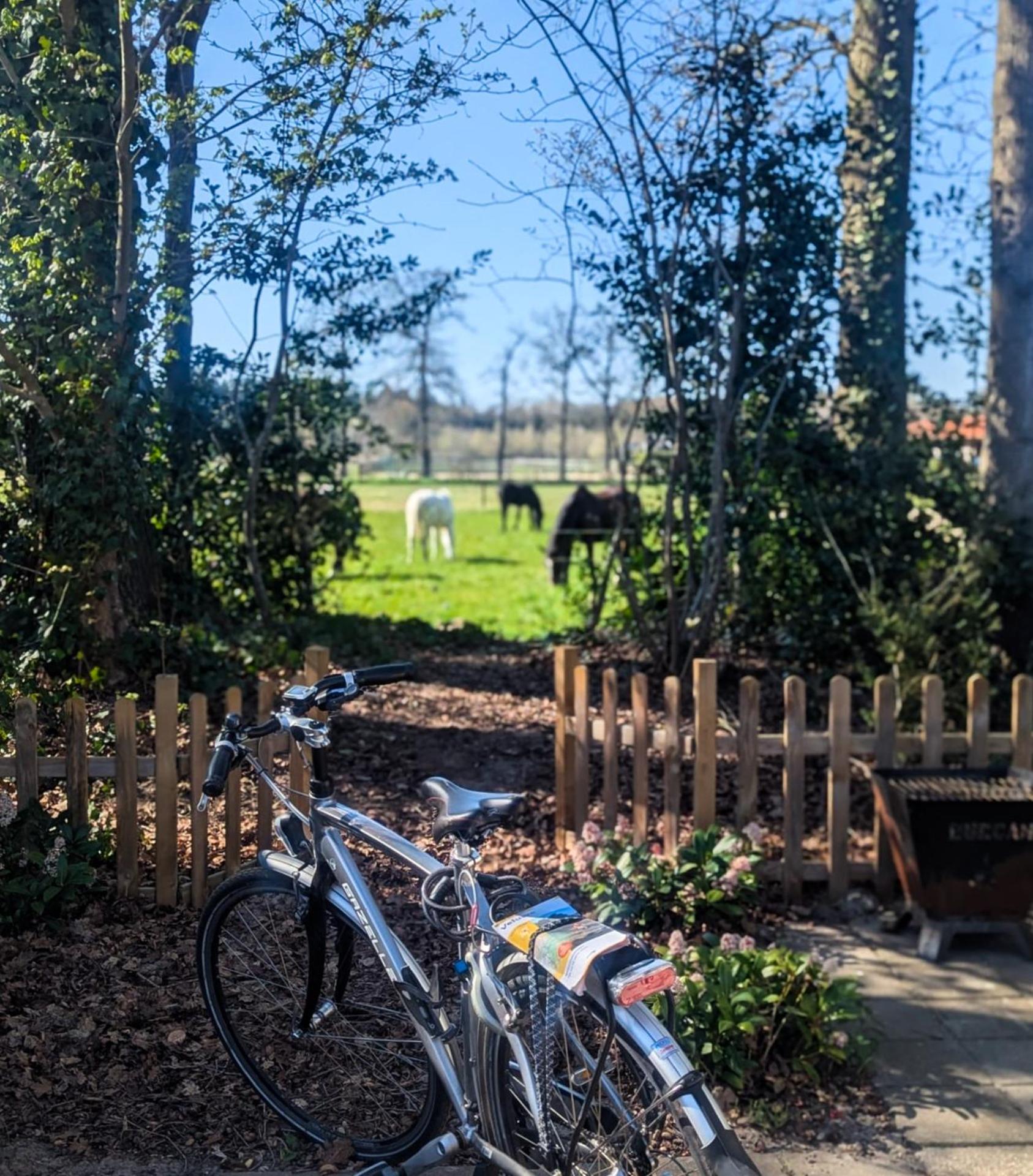 Hotel Chique Chalet Met Zicht Over De Weilanden Op De Veluwe Epe Buitenkant foto